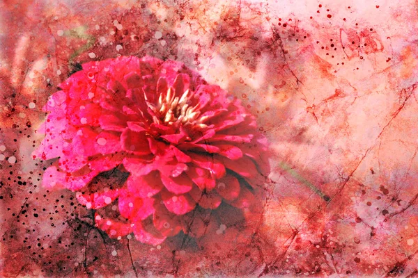 絵画のスペーサーとヴィンテージグランジテクスチャデザイン 赤とピンクの色のジニアの花とゴージャスな芸術的な花の背景イラスト — ストック写真