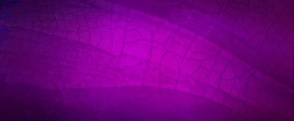 Фиолетовый Фон Потрескавшейся Гранж Текстурой Трещинами Морщинистой Фиолетовой Бумагой Черной — стоковое фото