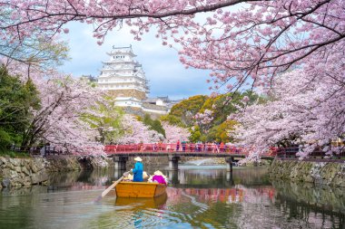 Himeji Kalesi, Japonya