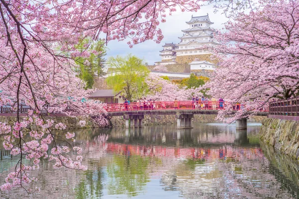 Castillo de Himeji con flor de cerezo en primavera — Foto de Stock