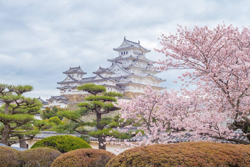 Himeji Castle with cherry blossom in spring Stock Editorial Photo