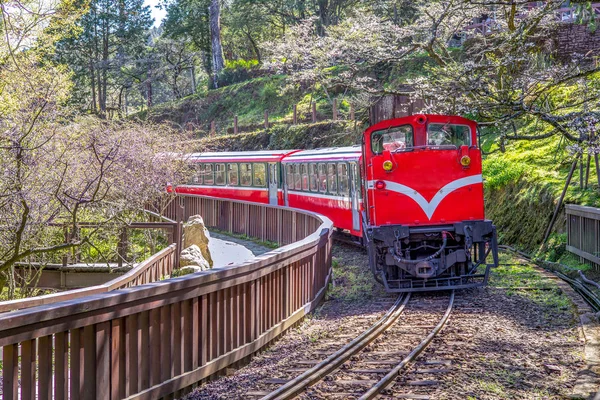 Ferrocarril en el área de recreacción forestal de Alishan — Foto de Stock