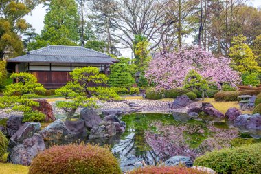 Ninomaru Bahçe Nijo kale Kyoto, Japonya