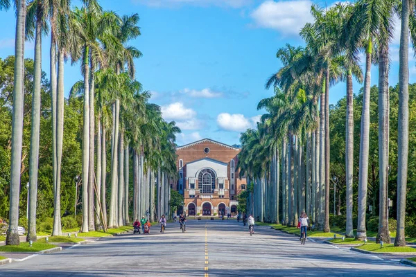 Royal Palm Boulevard Taiwan University — Stock Fotó