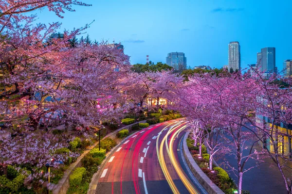 Vista Nocturna Tokyo Midtown Roppongi Japón — Foto de Stock