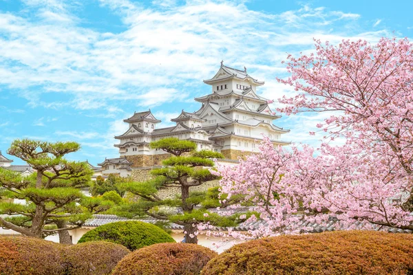 Castillo Himeji Con Hermosa Flor Cerezo — Foto de Stock