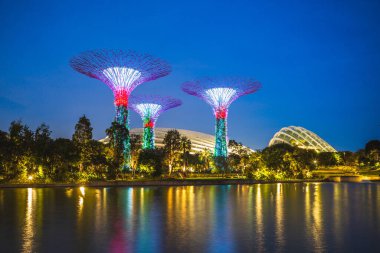 Singapore, Singapore - February 6, 2020: Scenery of Gardens by the Bay with Flower Dome, Cloud Forest, and Supertree Grove at the marina bay at night
