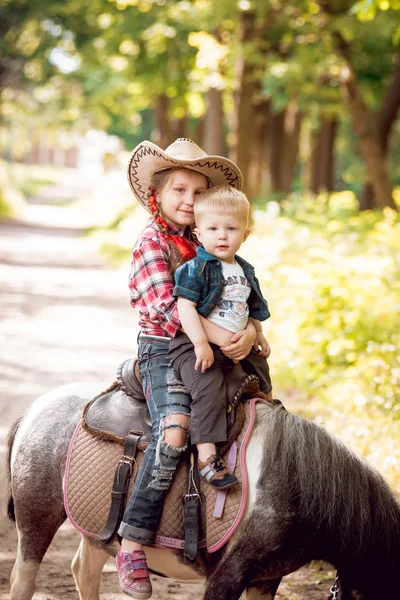 Liten Flicka Och Hennes Yngre Bror Ridponny Grön Park — Stockfoto