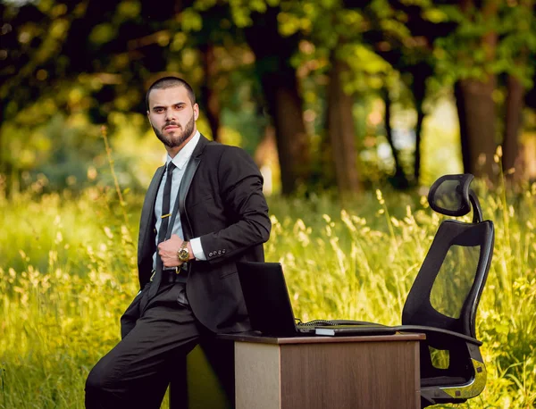 Joven Buisnessman Con Barba Trabajando Parque Concepto Trabajo Remoto — Foto de Stock