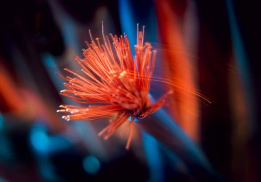 Elektrik donatımı. Kablo kesip kapatın. 