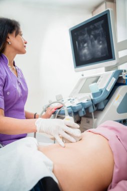 Ultrason tarayıcı bir doktor elinde. Tanılama. Ultrason.