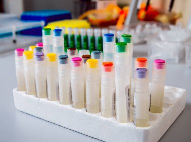 Tıbbi malzeme. Tüpler ve kapsayıcılar