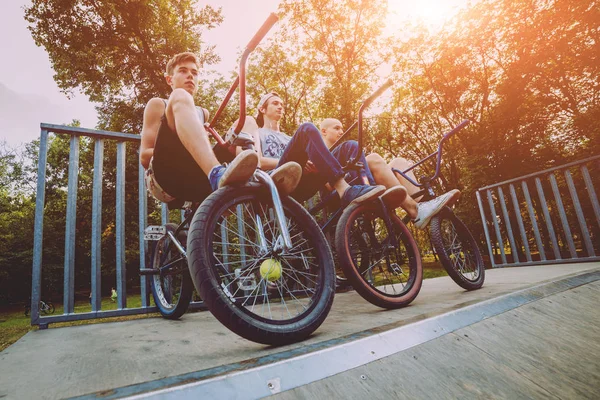 Company Young People Bmx — Stock Photo, Image