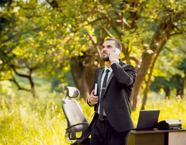 Genç buisnessman Park'ta çalışma sakallı. Uzak iş kavramı.