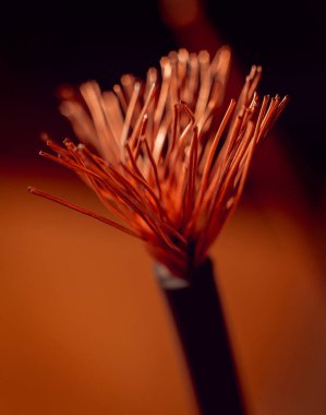 Elektrik donatımı. Kablo yakın çekim. 