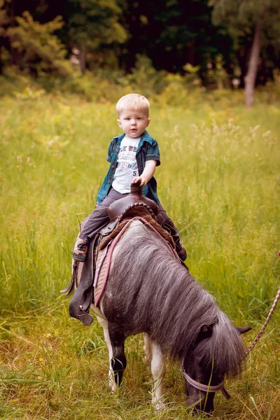Kleiner Junge Reitet Pony Auf Grüner Wiese — Stockfoto