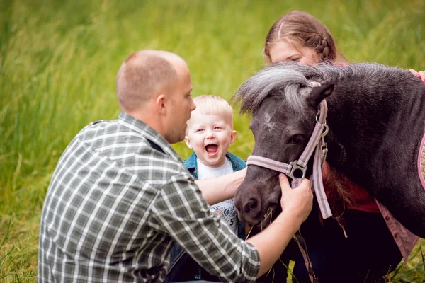 Famiglia Con Pony Parco — Foto Stock