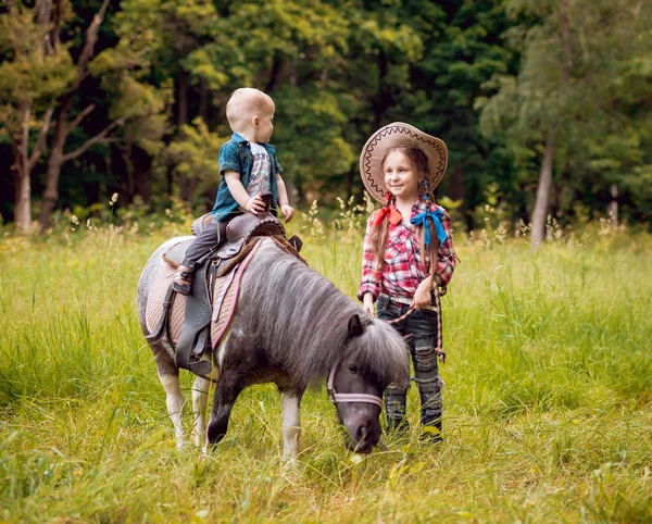 Κοριτσάκι Και Μικρότερος Αδερφός Της Ιππασίας Πόνι Καταπράσινο Πάρκο — Φωτογραφία Αρχείου