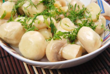 Salamura mantar yemek üzerine dereotu ile. Portre