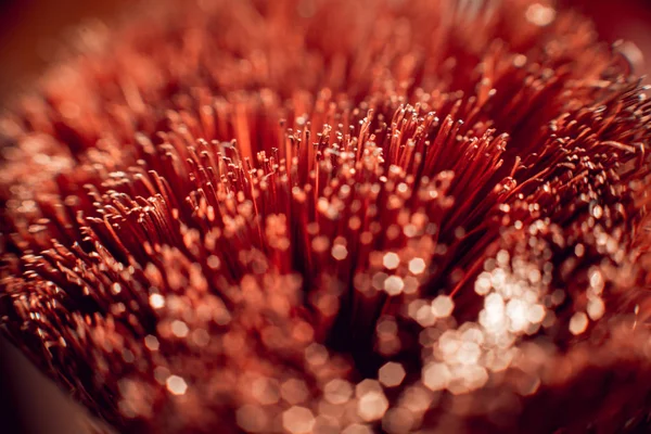 Elektrik donatımı. Kablo kesip kapatın. 