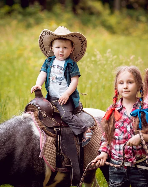 Kleines Mädchen Und Ihr Jüngerer Bruder Beim Ponyreiten Grünen Park — Stockfoto