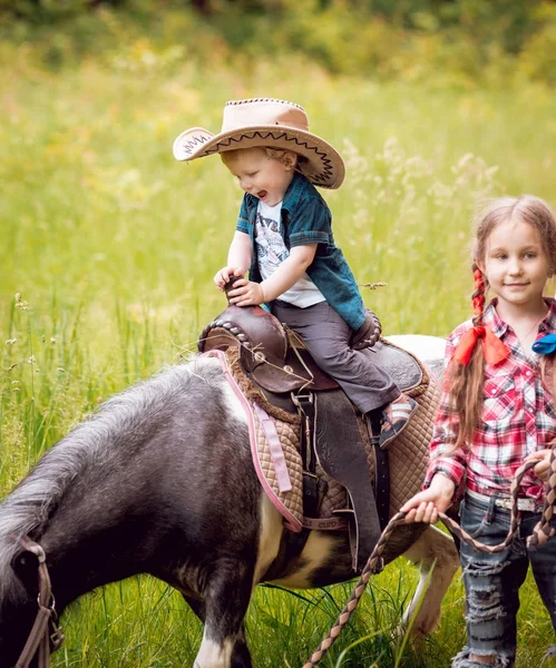 Liten Flicka Och Hennes Yngre Bror Ridponny Grön Park — Stockfoto