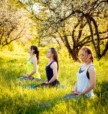 Pratik Yoga Park üç genç kız