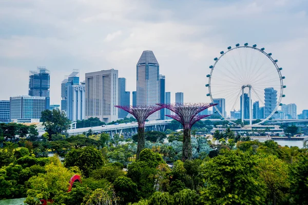 Сінгапур Березня Центру Міста Саду Біля Затоки — стокове фото