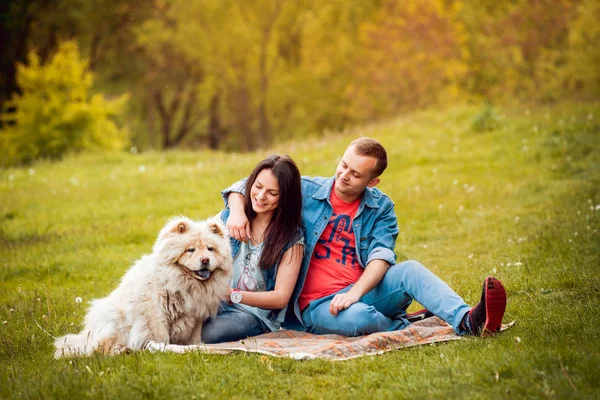 公園を散歩して 良い時間を過ごして 犬まぜこぜで若いカップルします — ストック写真