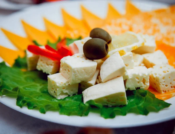 Peynir plaka üzerinde farklı çeşitleri.