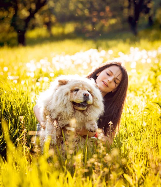 Ung Brunett Kvinna Med Hennes Hund Chow Chow Promenader Parken — Stockfoto