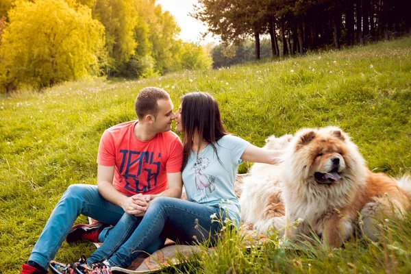 Jovem Casal Com Seus Cães Comer Chow Andando Parque Divertindo — Fotografia de Stock