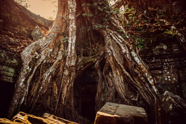 Cambodia Angkor Wat March 2016 Angkor Wat Temple — Stock Photo, Image