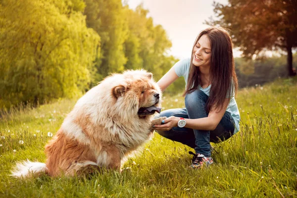 Молода Брюнетка Своєю Собакою Чиу Ходить Парку Добре Проводить Час — стокове фото