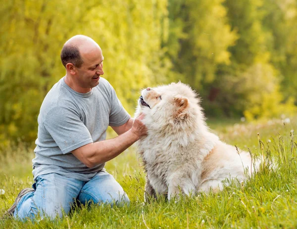 Дорослий Чоловік Грає Своєю Собакою Парку — стокове фото