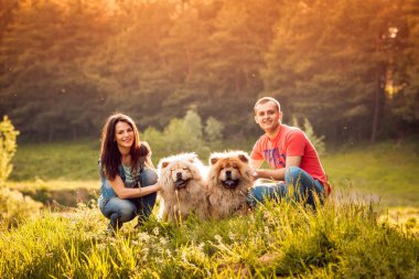 Genç çift ile onların köpekleri uyumak parkta yürüyüş ve having fun