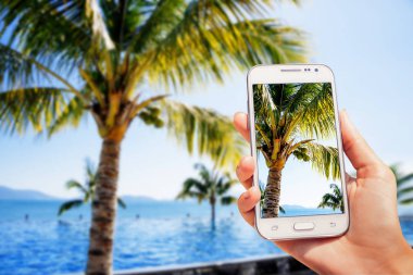 Havuz Deniz kenarında. Plaj, palmiye ağaçları, resort