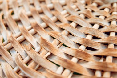 saman doku. yakın çekim