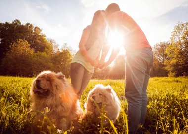 Genç çift ile onların köpekleri uyumak parkta yürüyüş ve having fun