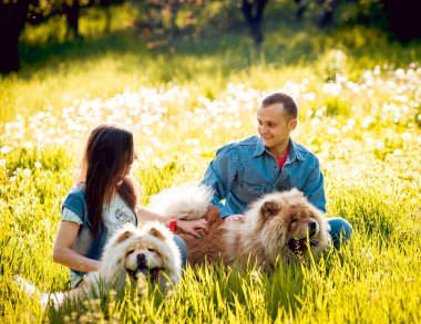 Genç çift ile onların köpekleri uyumak parkta yürüyüş ve having fun