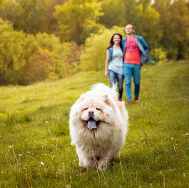 Parkta yürüyüş ve iyi vakit geçiriyorlardı onların köpek uyumak ile genç Çift