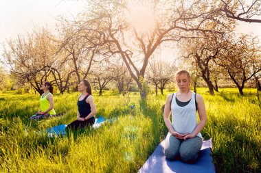 Pratik Yoga Park üç genç kız