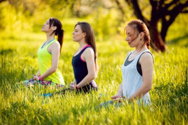 Pratik Yoga Park üç genç kız