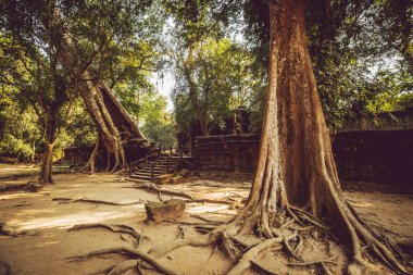 Kamboçya. Angkor Wat - Mart 14/2016: Angkor Wat Tapınağı.