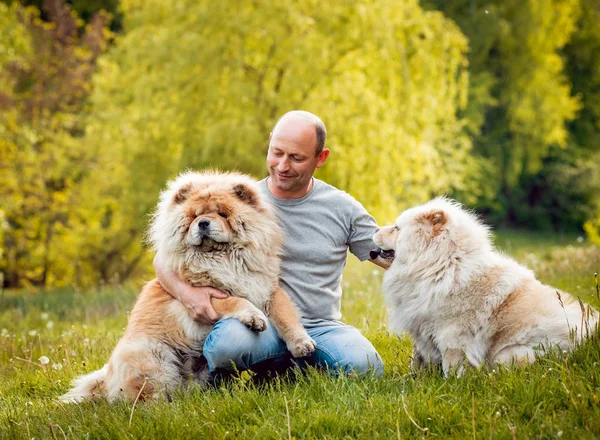 Дорослий Чоловік Грає Своїми Собаками Парку — стокове фото