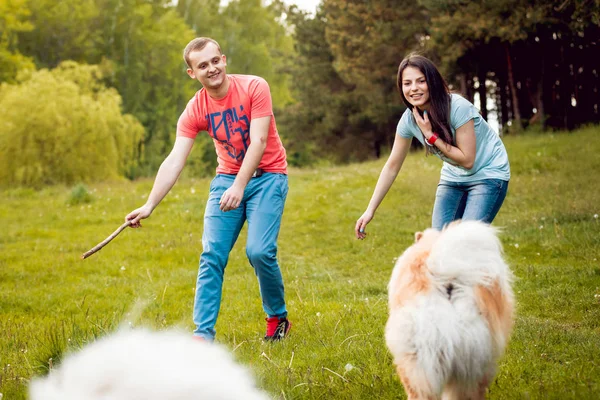 Fiatal Pár Kutyák Chow Chow Sétál Parkban Idő — Stock Fotó