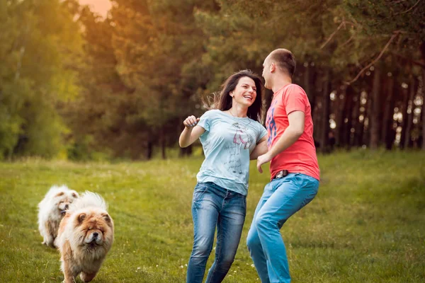 Молода Пара Своїми Собаками Чувак Гуляє Парку Розважається — стокове фото