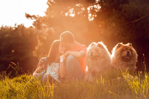 Jeune Couple Avec Leurs Chiens Chow Chow Marche Dans Parc — Photo