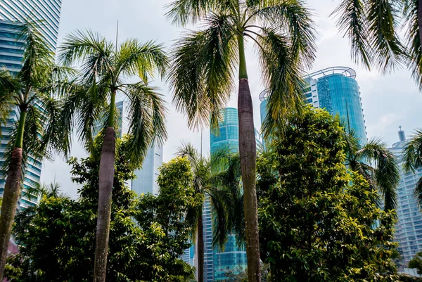 Kuala Lumpur March Business Building Kuala Lumpur March 2015 Kuala — Stok fotoğraf