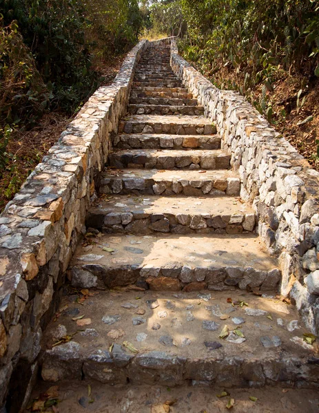 在绿色的草坪上的楼梯 美丽的背景 — 图库照片